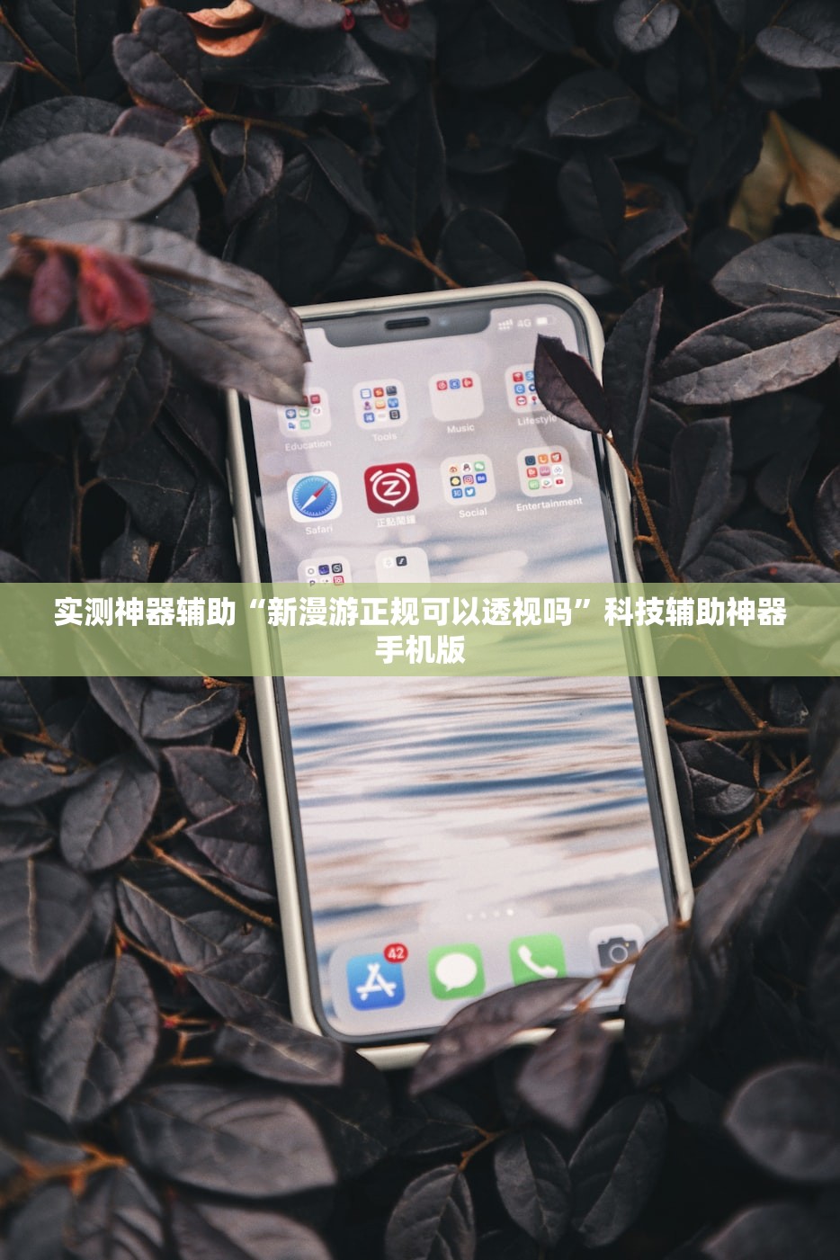 实测神器辅助“新漫游正规可以透视吗”科技辅助神器手机版