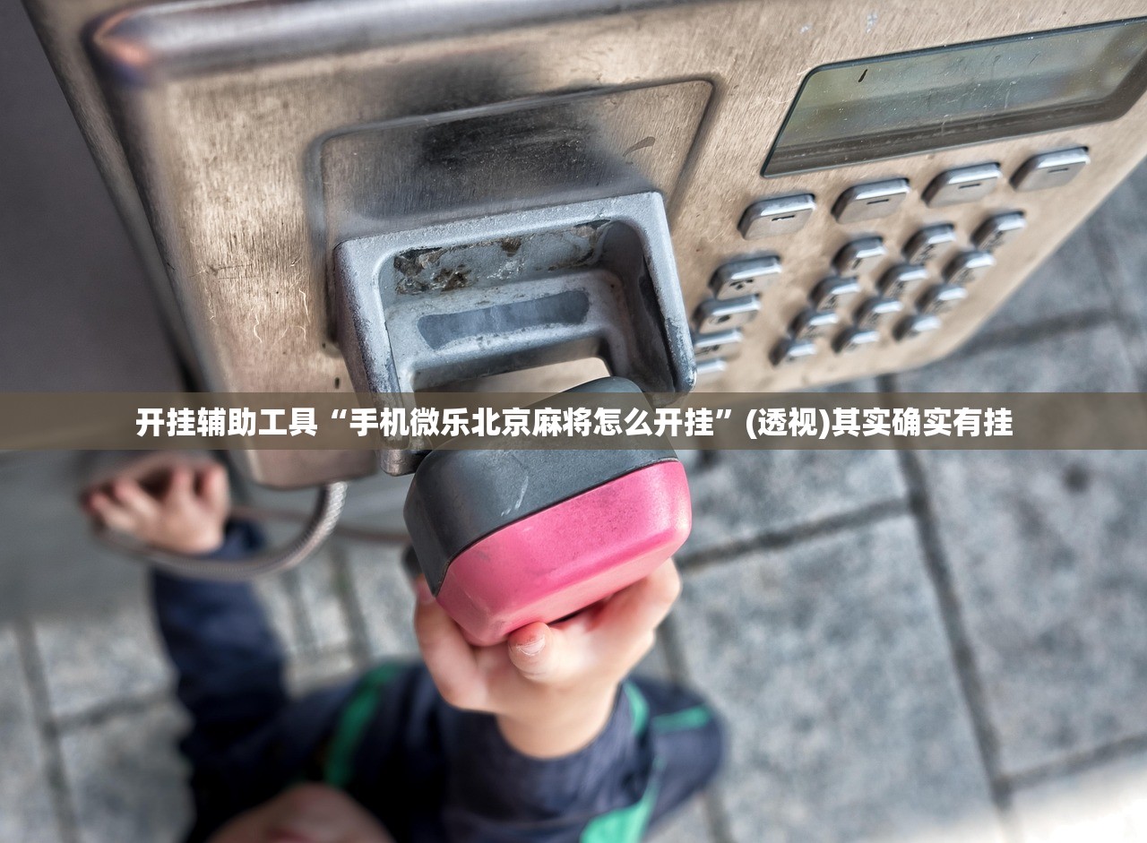 开挂辅助工具“手机微乐北京麻将怎么开挂”(透视)其实确实有挂