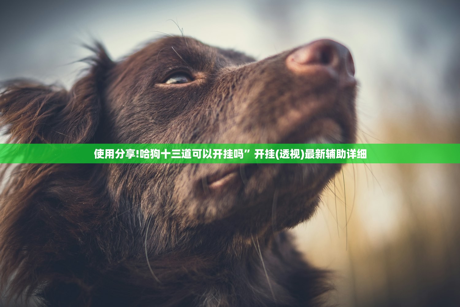 开挂辅助工具“手机微乐北京麻将怎么开挂”(透视)其实确实有挂