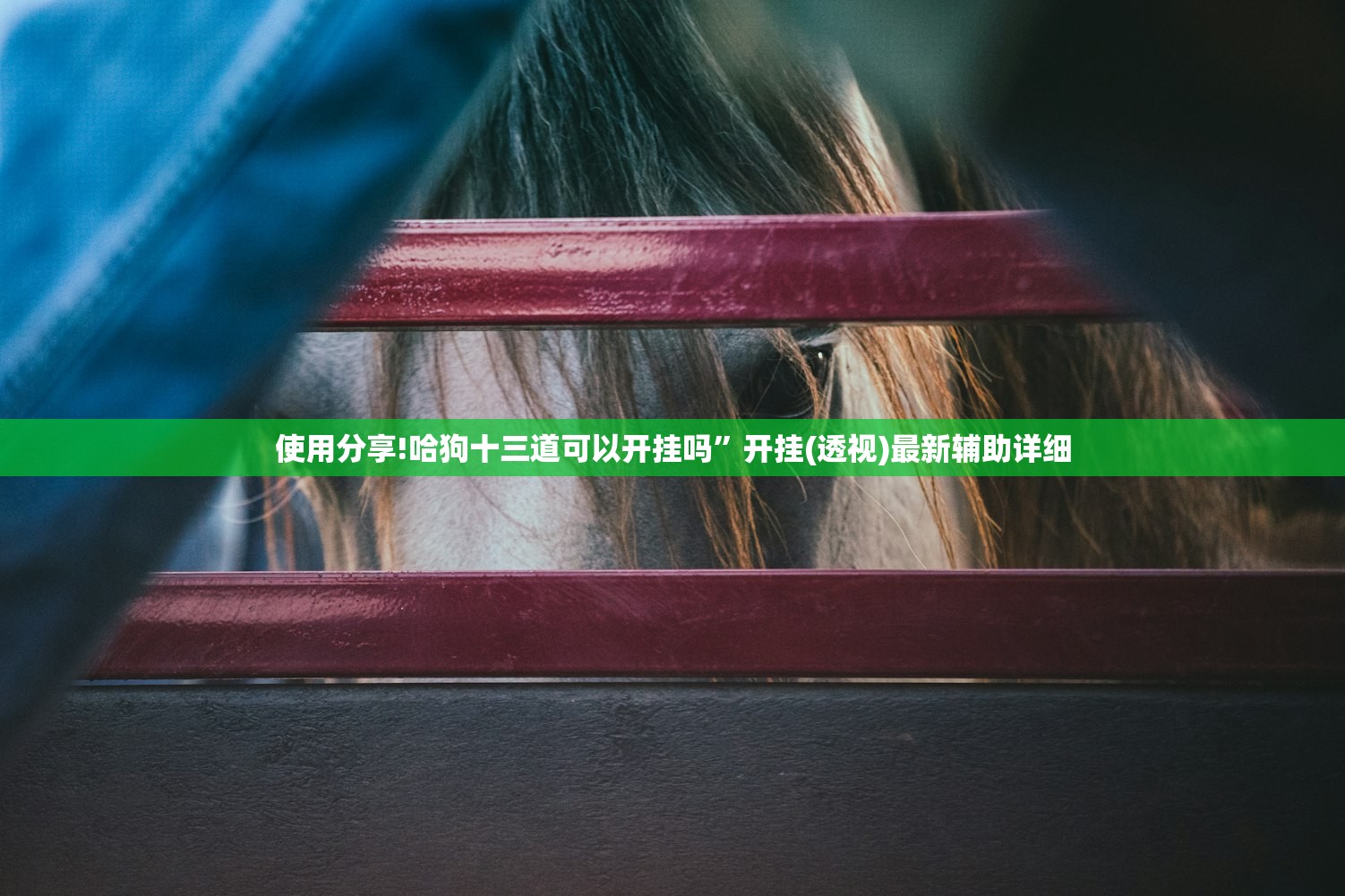 使用分享!哈狗十三道可以开挂吗”开挂(透视)最新辅助详细