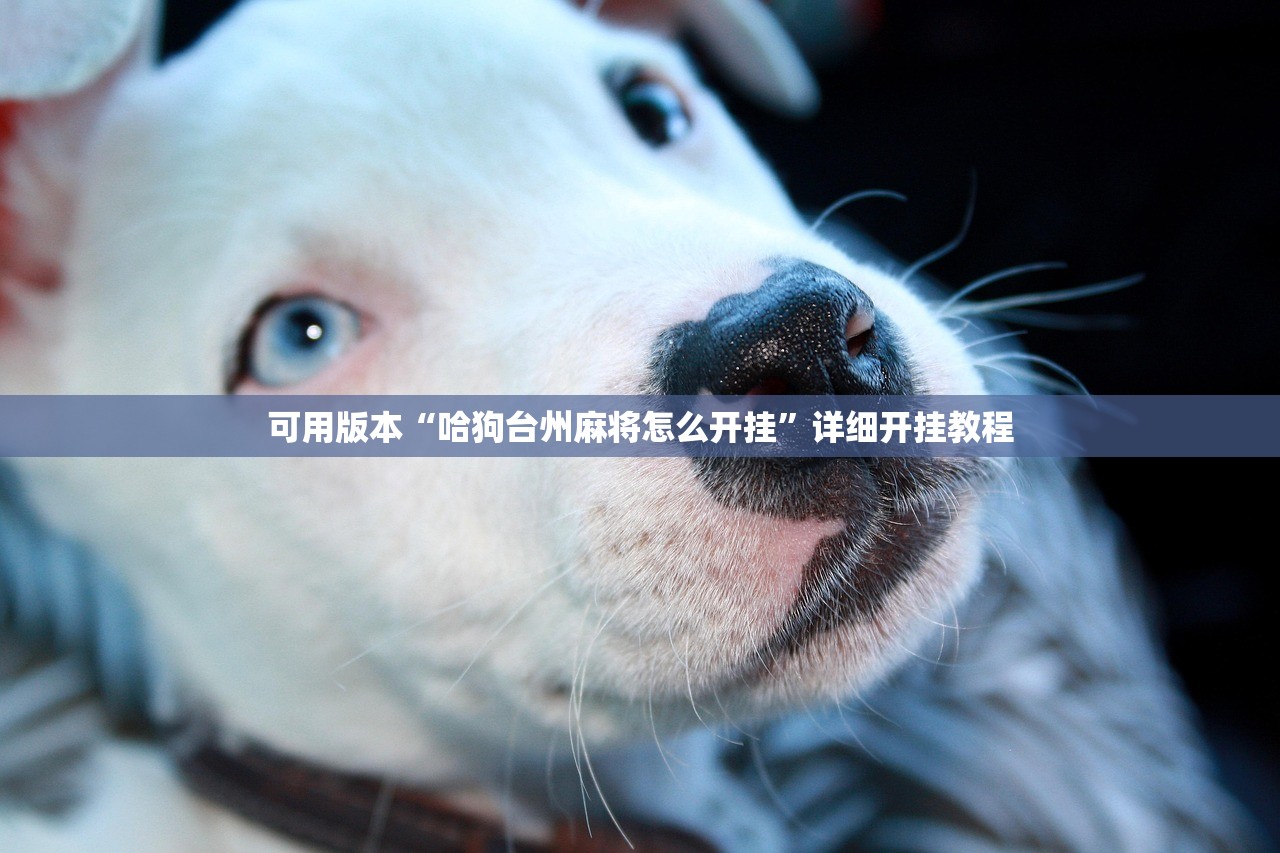 华晨宝马新款3系费用/华晨宝马三系费用