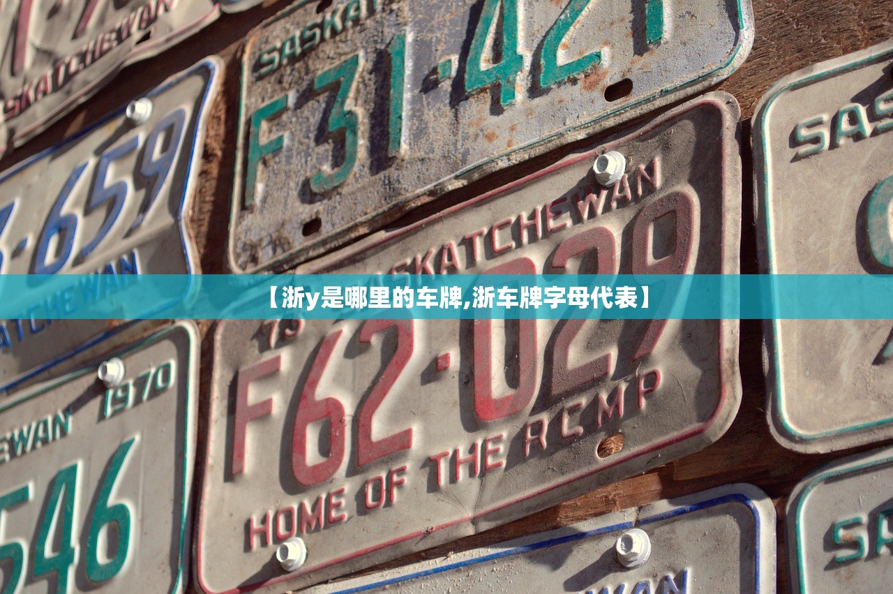 【浙y是哪里的车牌,浙车牌字母代表】