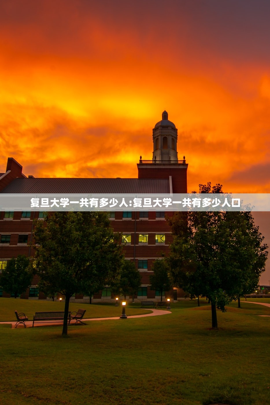 复旦大学一共有多少人:复旦大学一共有多少人口