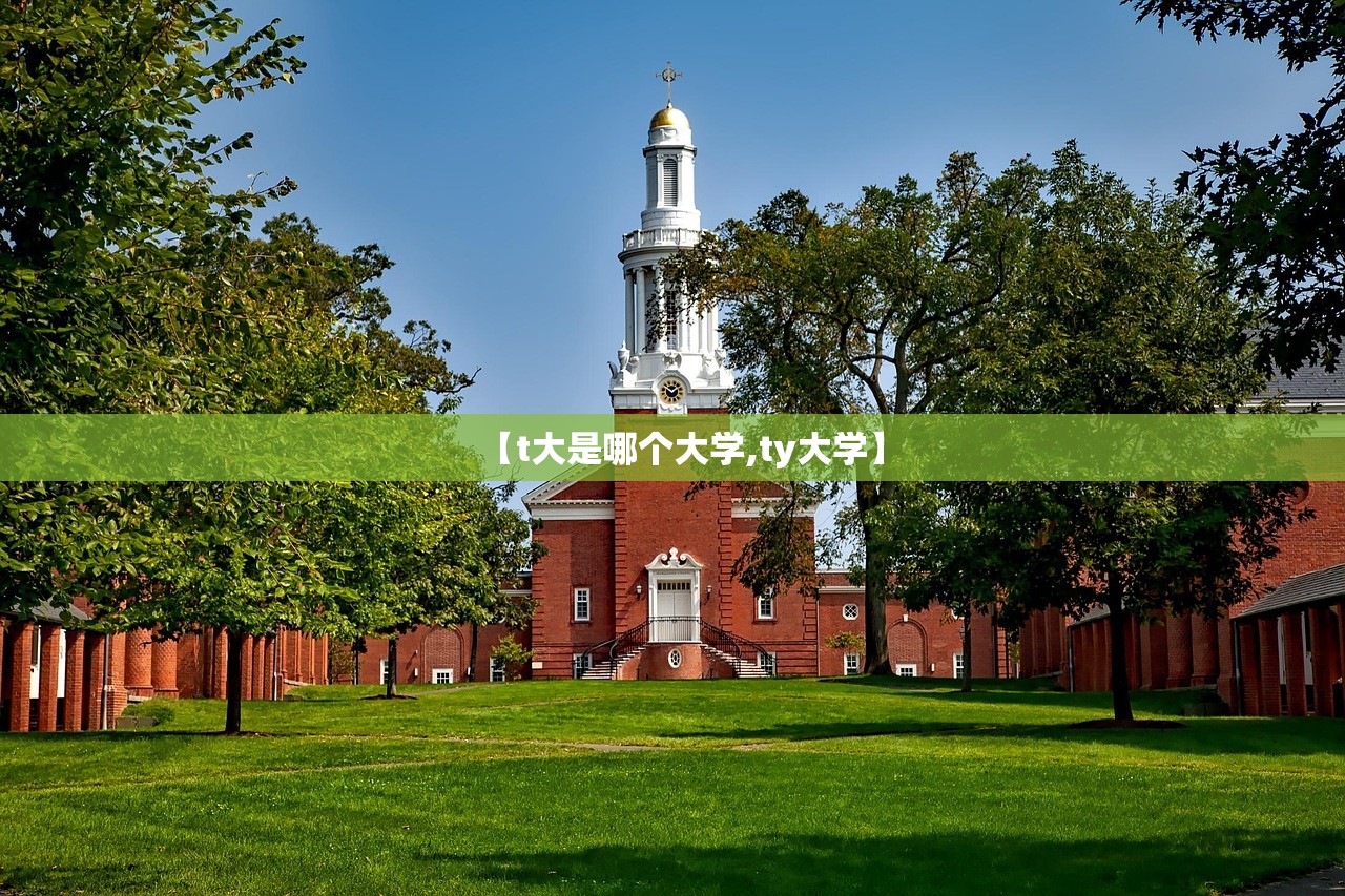 【t大是哪个大学,ty大学】