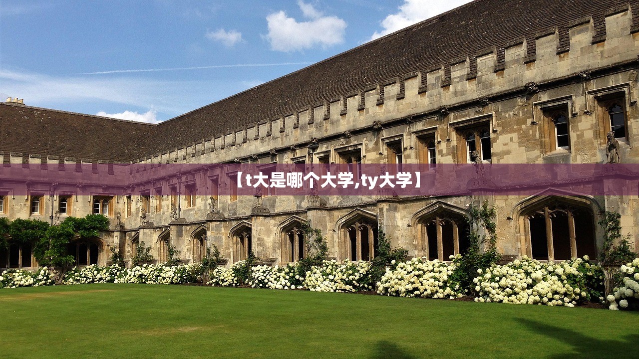 【t大是哪个大学,ty大学】
