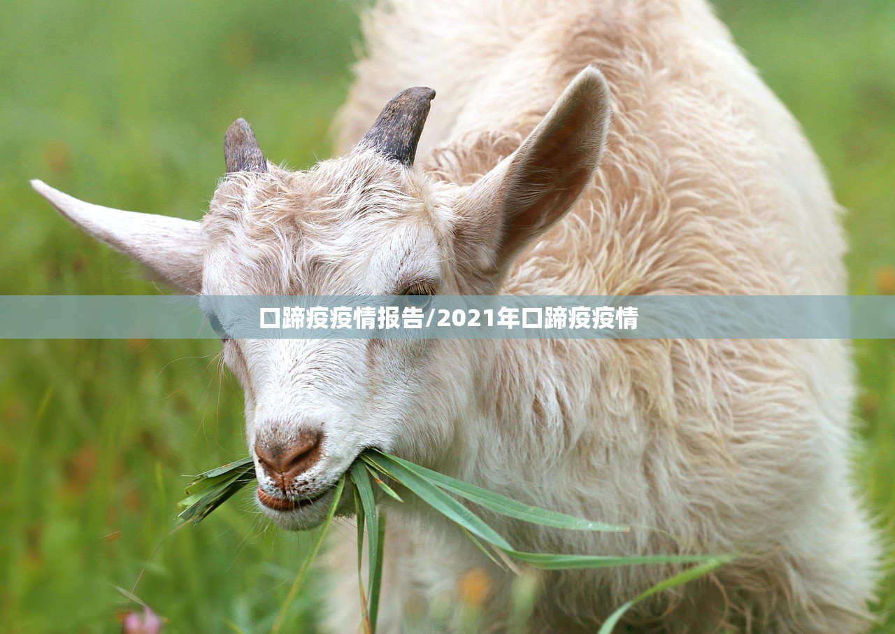 【广东昨日新增本土确诊5例/广东昨日新增11例本土确诊轨迹】
