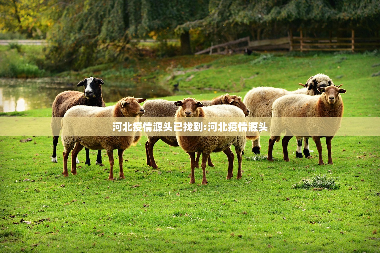 河北疫情源头已找到:河北疫情源头