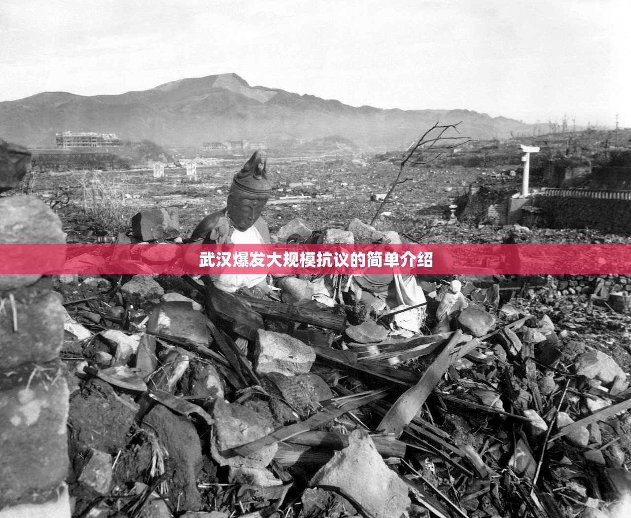 武汉爆发大规模抗议的简单介绍