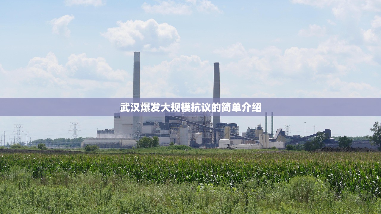 武汉爆发大规模抗议的简单介绍