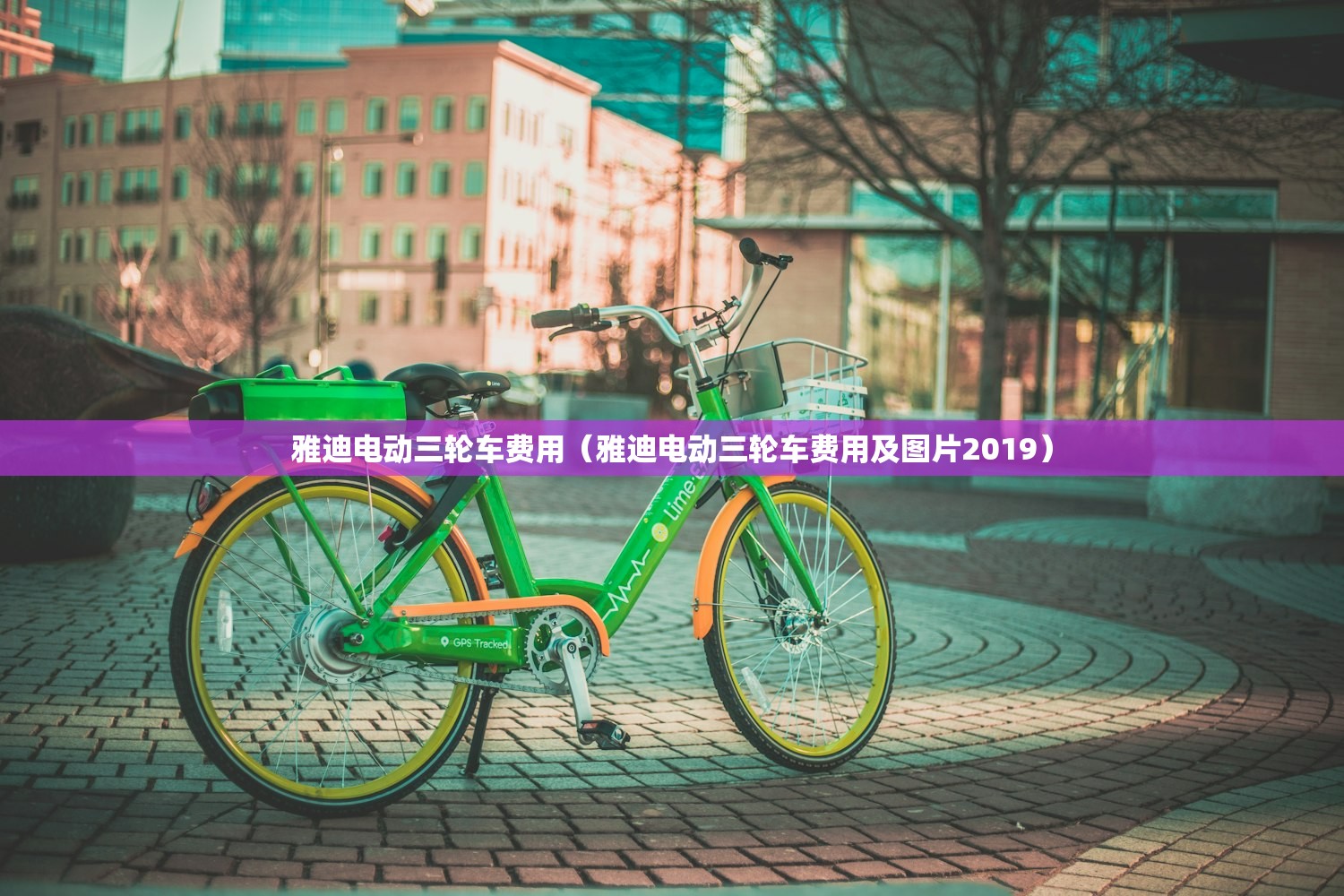 雅迪电动三轮车费用（雅迪电动三轮车费用及图片2019）