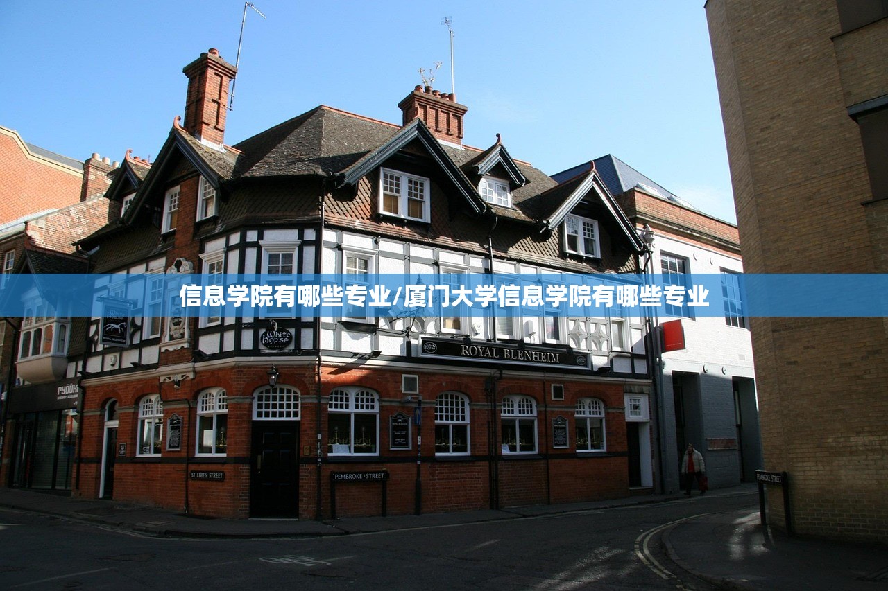 信息学院有哪些专业/厦门大学信息学院有哪些专业