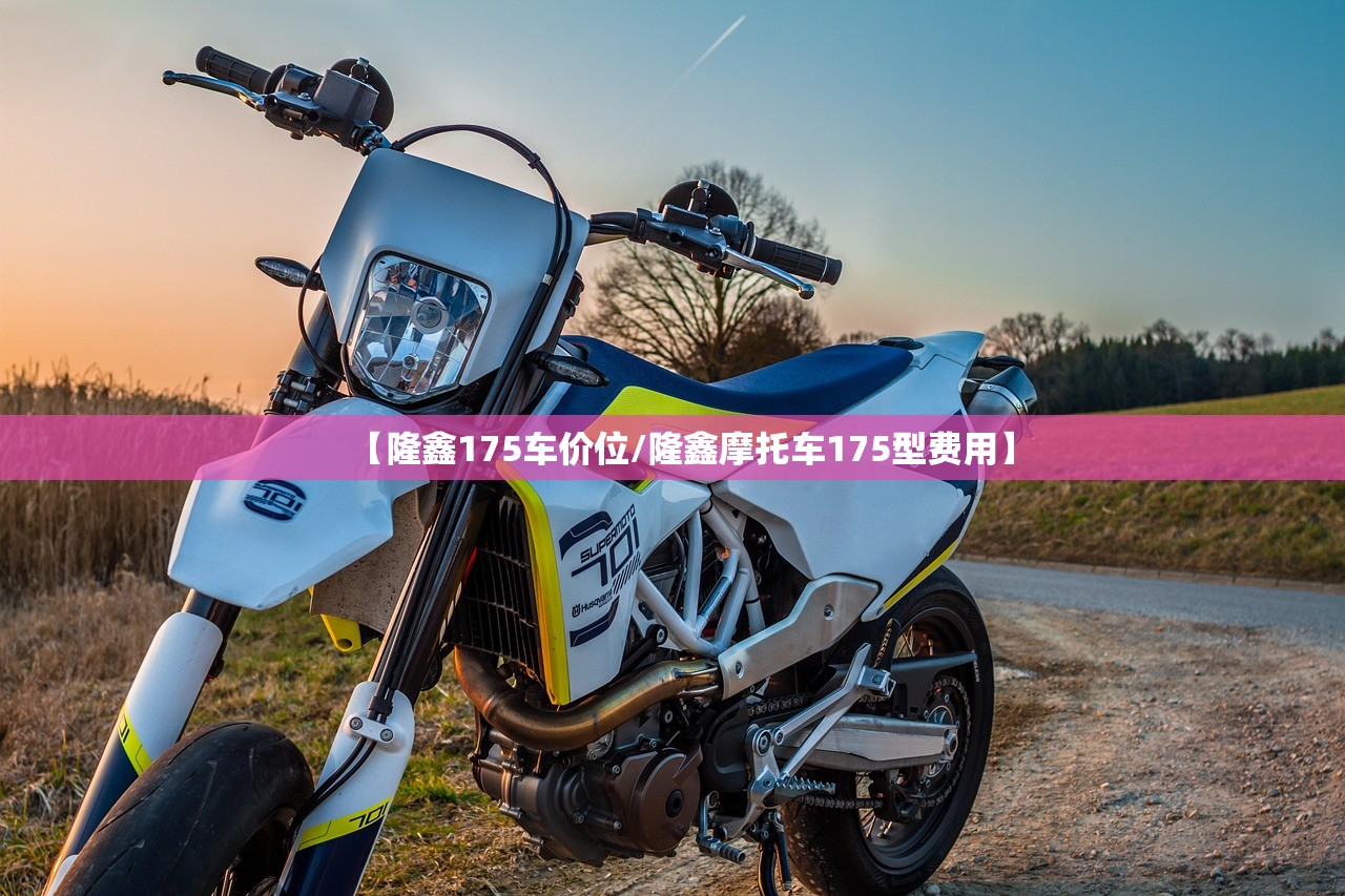 【隆鑫175车价位/隆鑫摩托车175型费用】