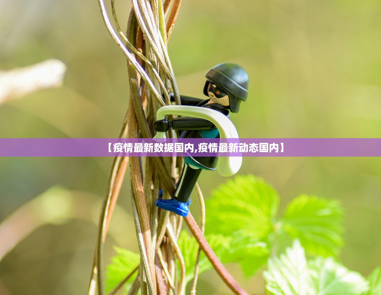 【疫情最新数据国内,疫情最新动态国内】