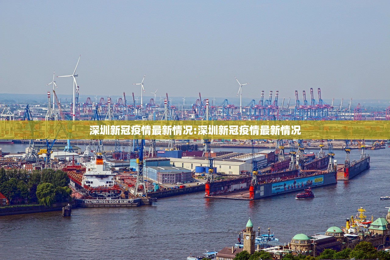 深圳新冠疫情最新情况:深圳新冠疫情最新情况