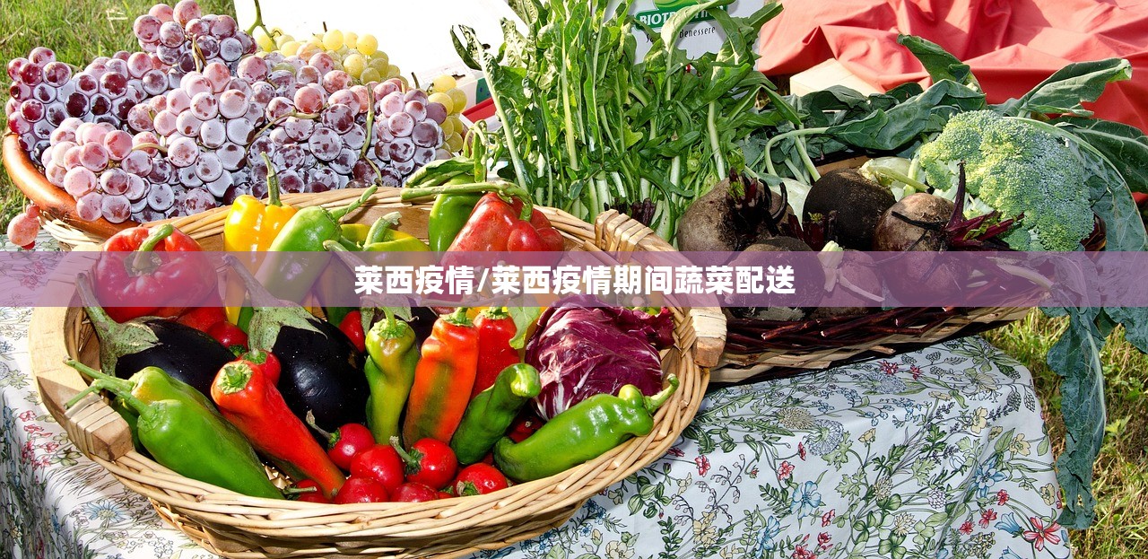 莱西疫情/莱西疫情期间蔬菜配送 莱西疫情/莱西疫情期间蔬菜配送