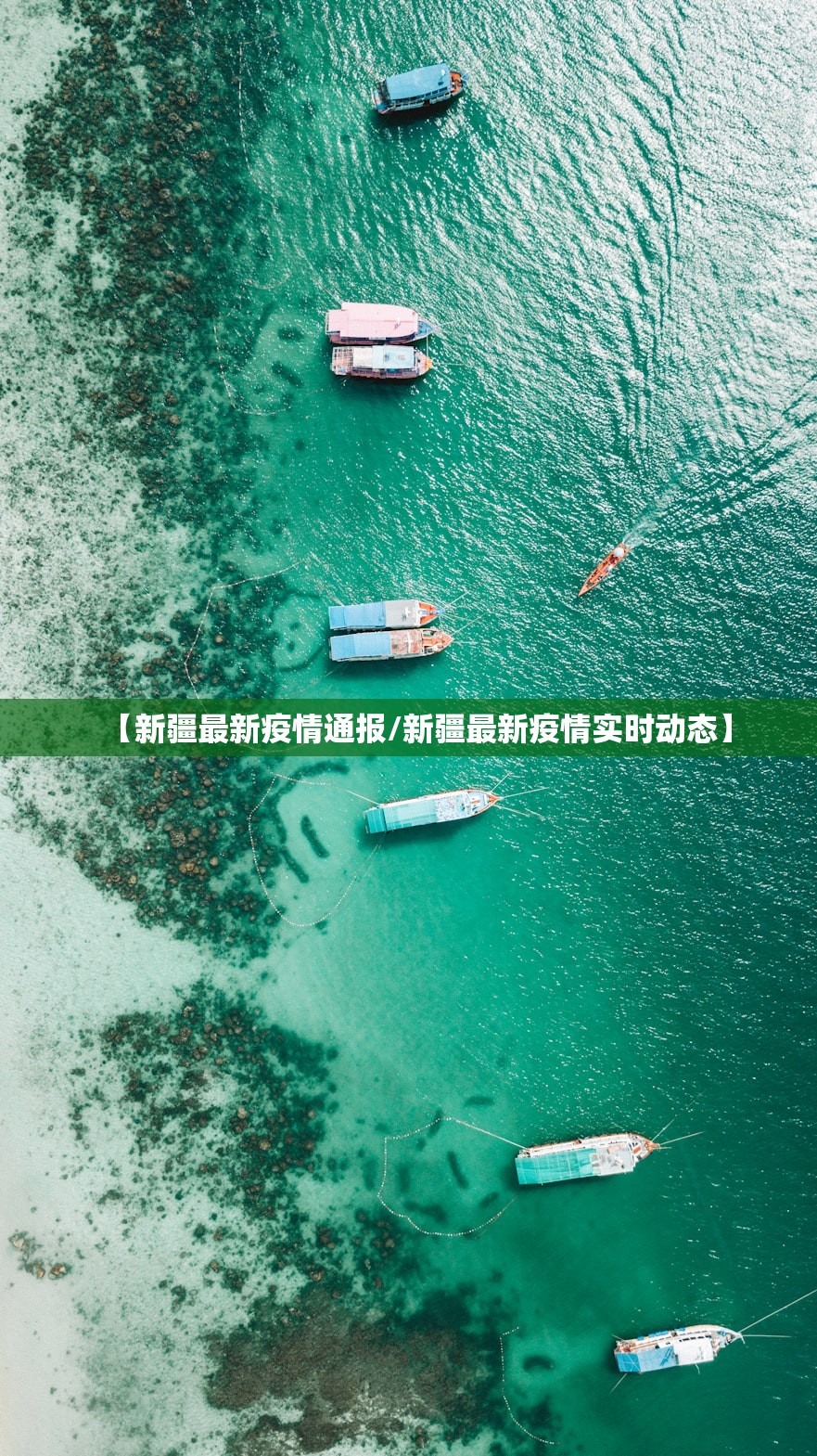石家庄封城/石家庄封城封了几天