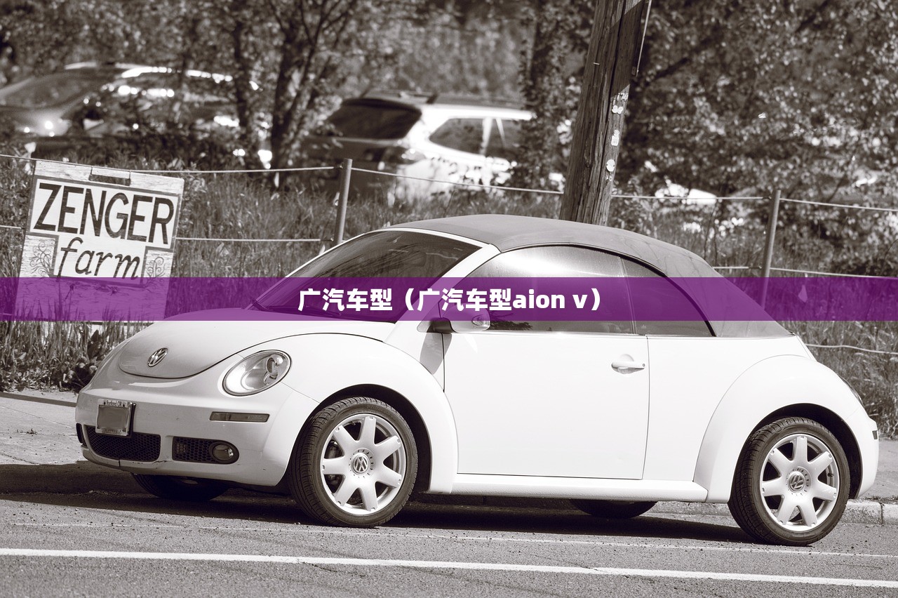 广汽车型（广汽车型aion v）