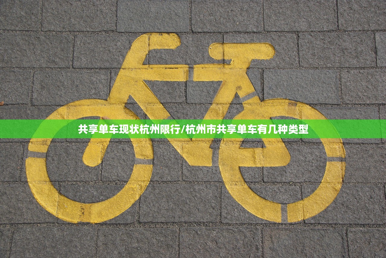 共享单车现状杭州限行/杭州市共享单车有几种类型