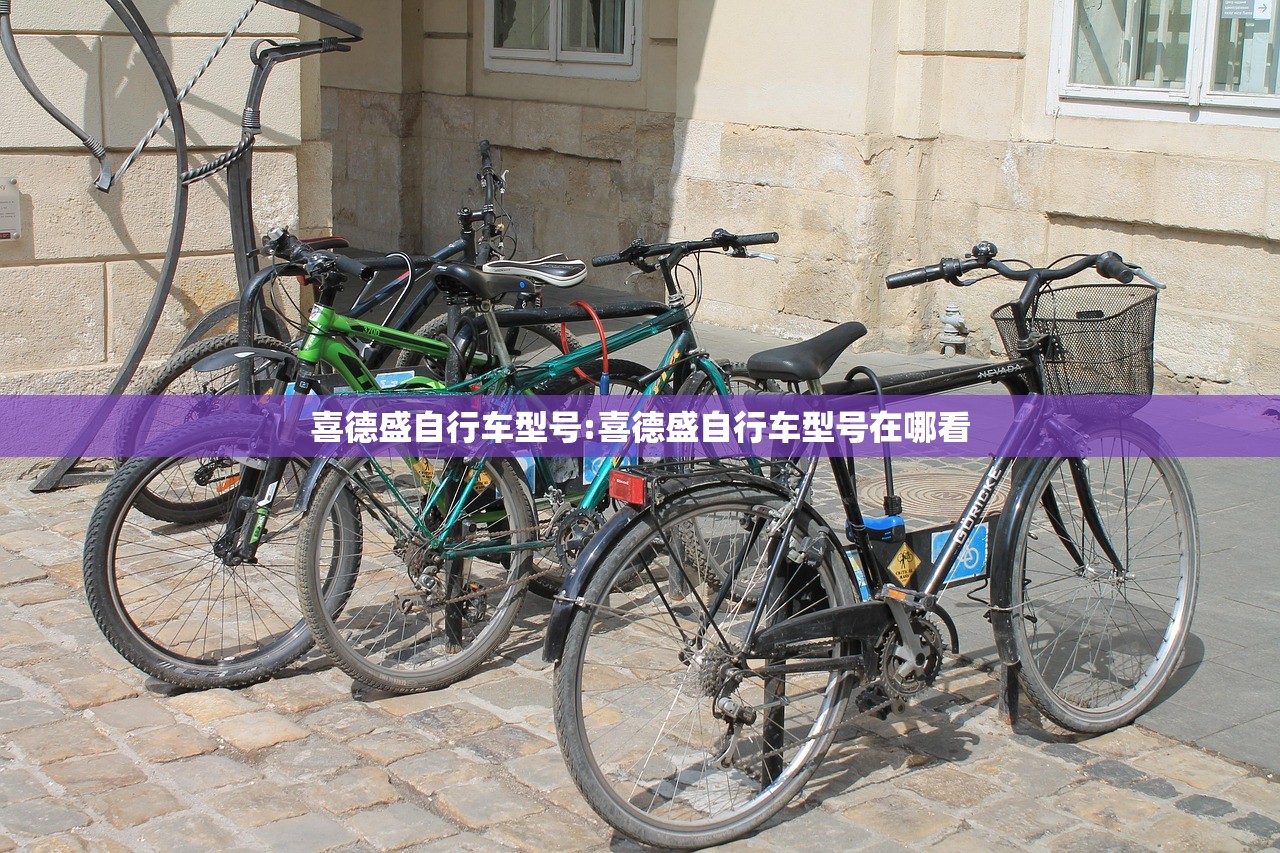 喜德盛自行车型号:喜德盛自行车型号在哪看