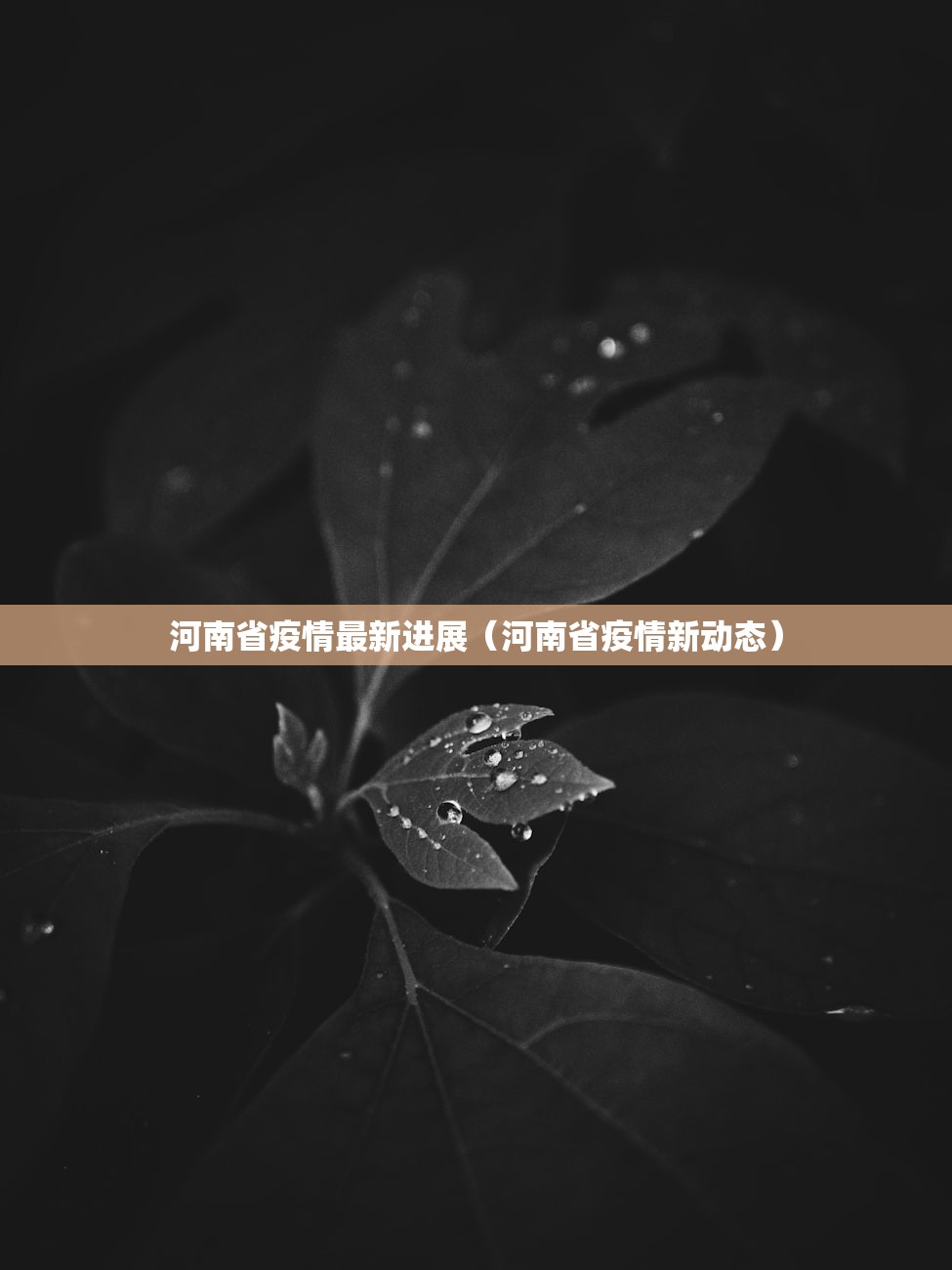 南京疫情传播源头/南京疫情传播链源头