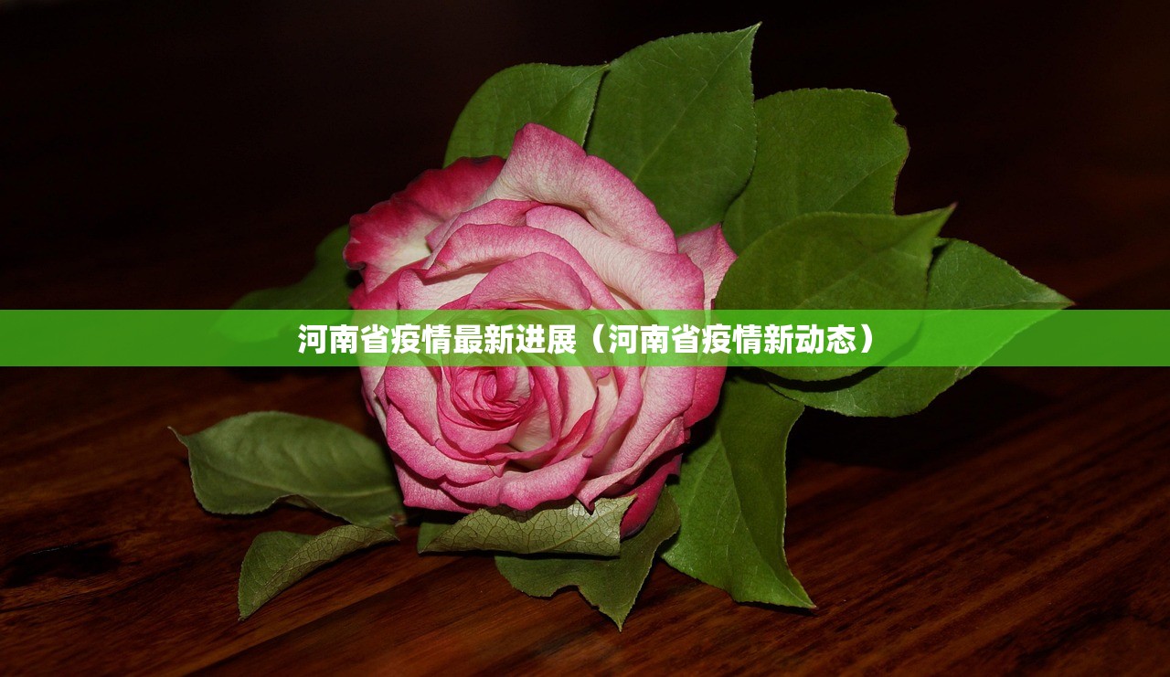 河南省疫情最新进展（河南省疫情新动态）