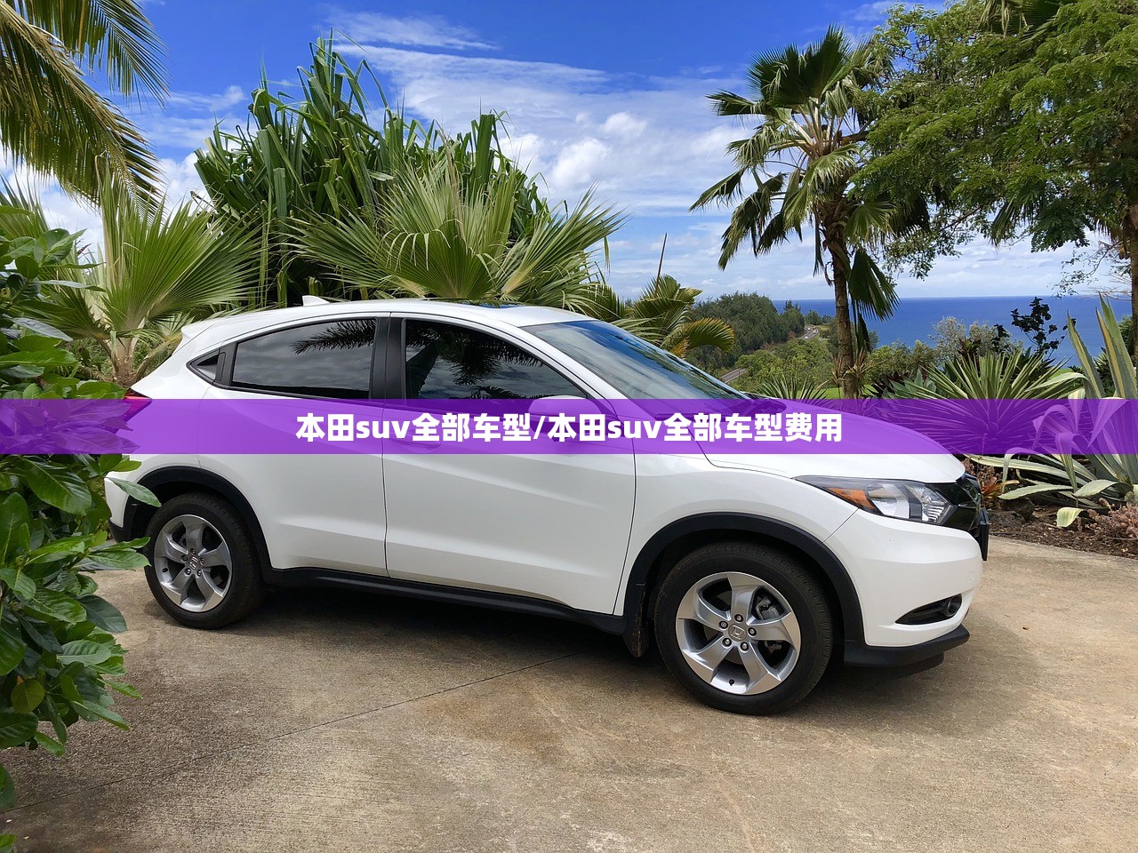 本田suv全部车型/本田suv全部车型费用