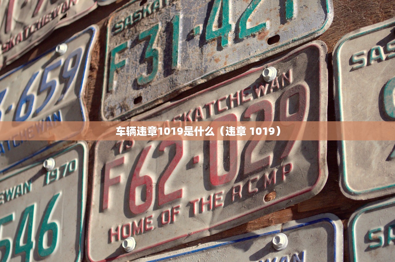车辆违章1019是什么(违章 1019) 车辆违章1019是什么(违章 1019)
