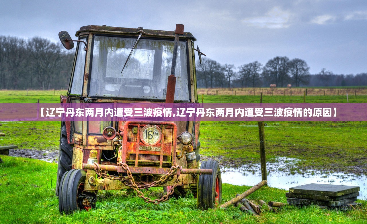 【辽宁丹东两月内遭受三波疫情,辽宁丹东两月内遭受三波疫情的原因】
