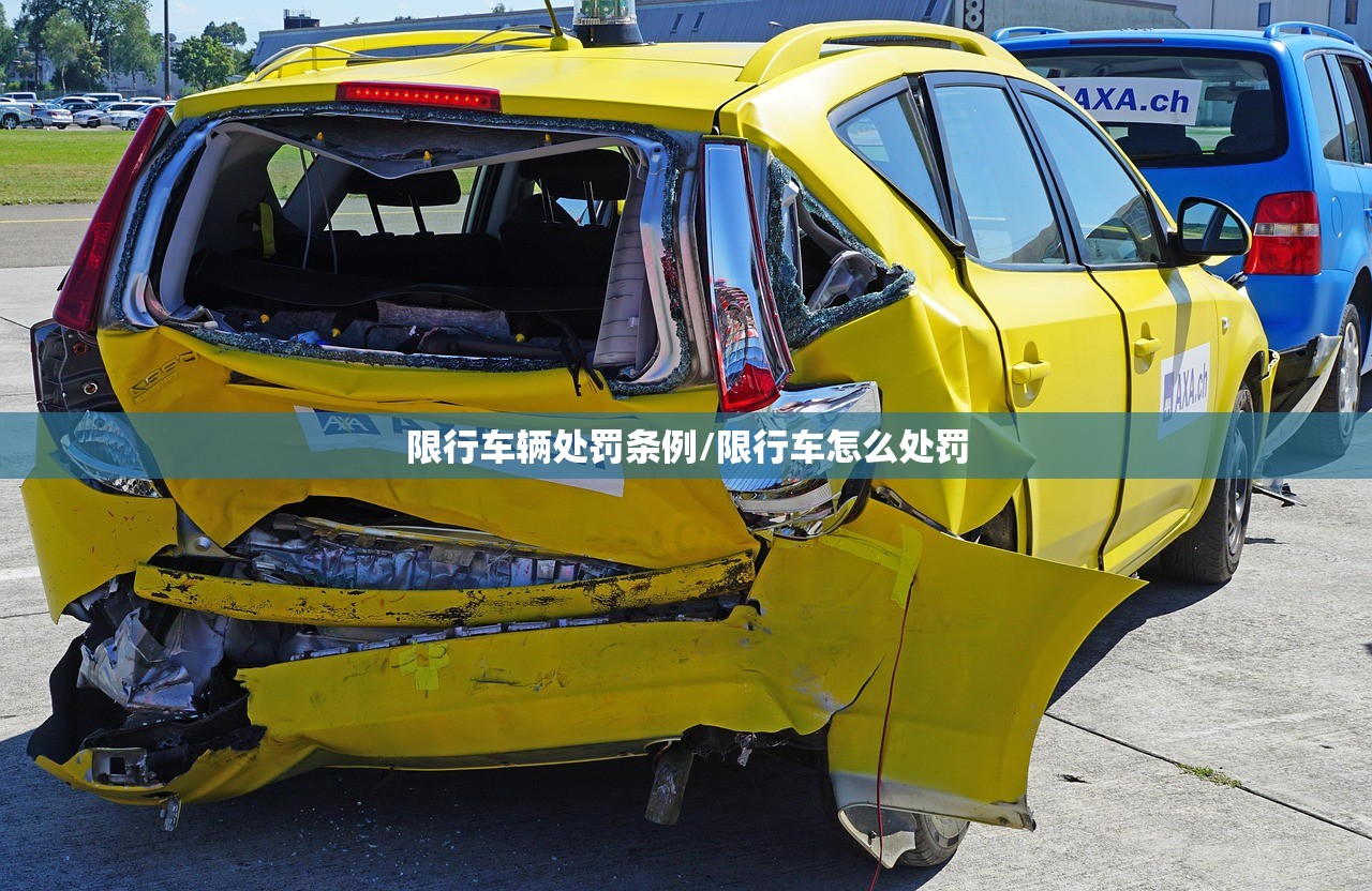 限行车辆处罚条例/限行车怎么处罚
