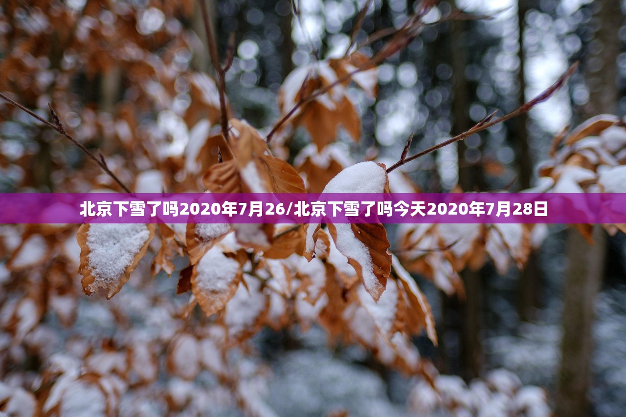北京下雪了吗2020年7月26/北京下雪了吗今天2020年7月28日 北京下雪了吗2020年7月26/北京下雪了吗今天2020年7月28日