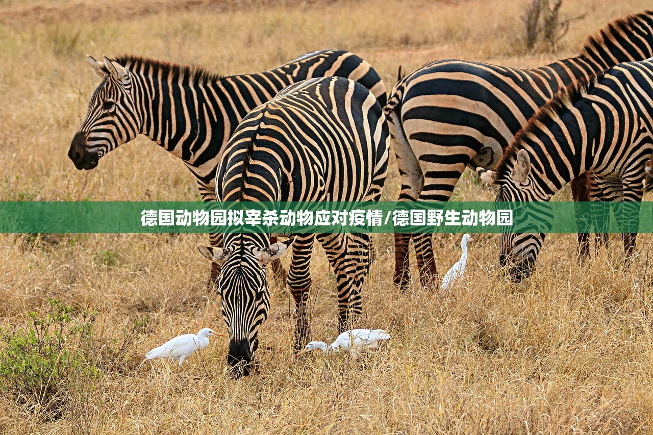 德国动物园拟宰杀动物应对疫情/德国野生动物园