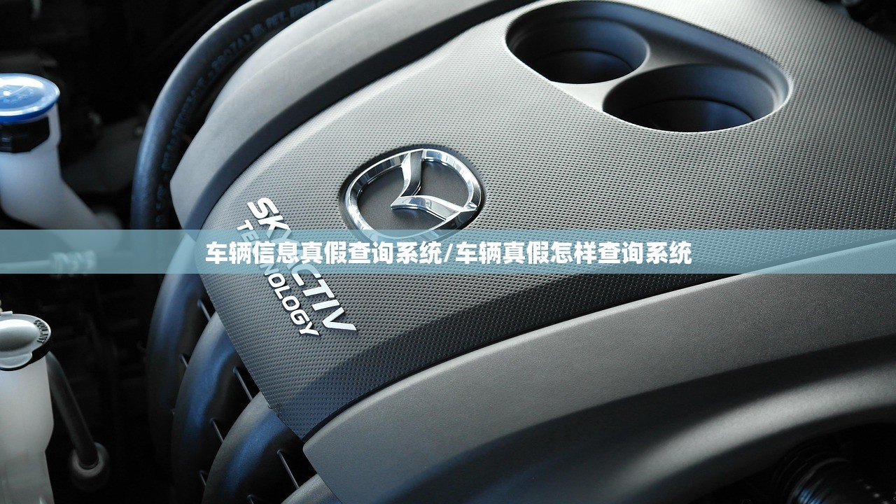 车辆信息真假查询系统/车辆真假怎样查询系统