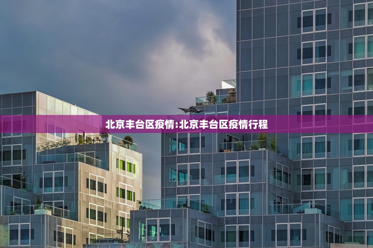 北京丰台区疫情:北京丰台区疫情行程