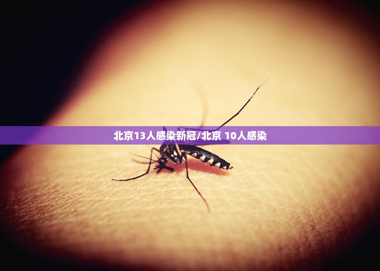 北京13人感染新冠/北京 10人感染