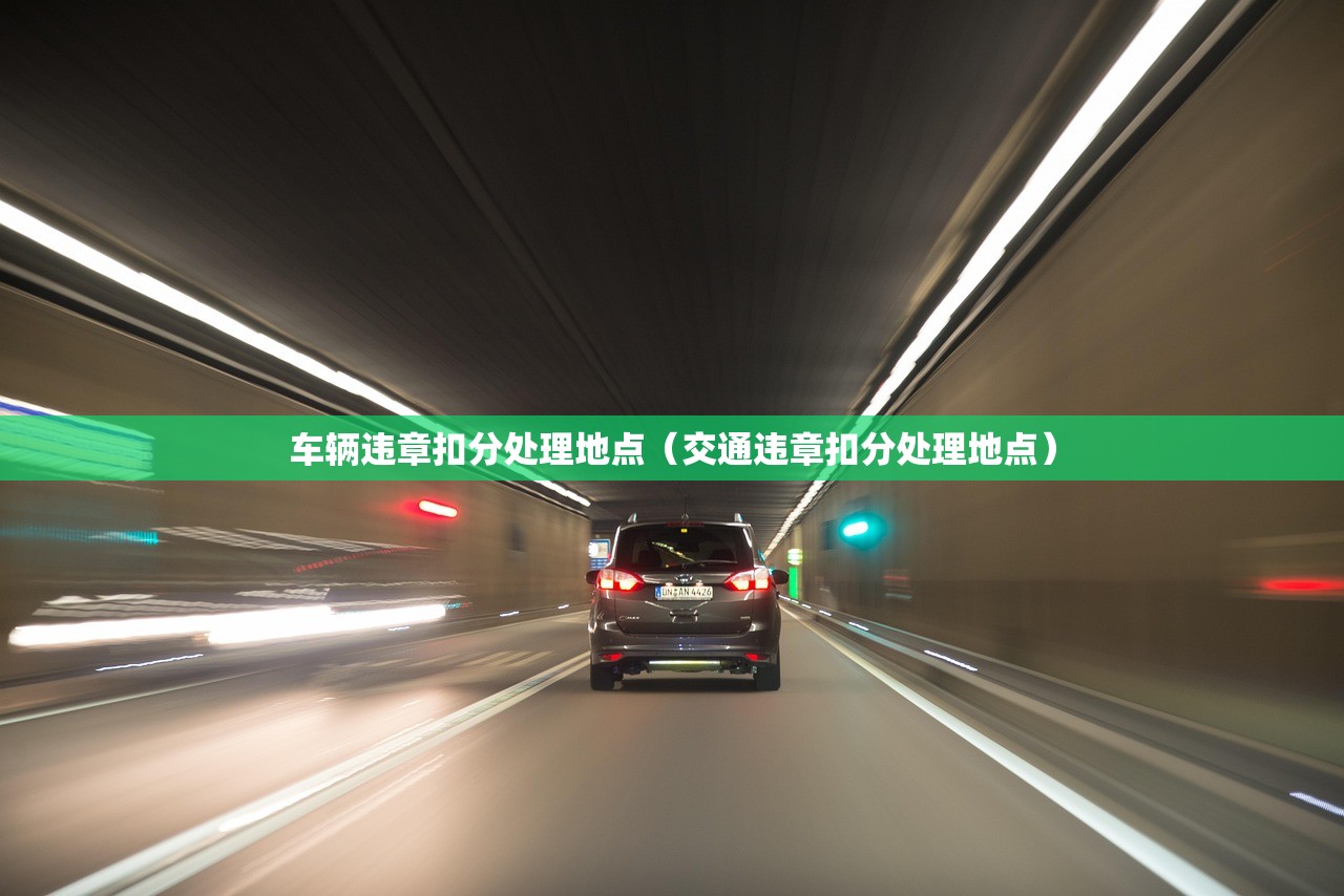 车辆违章扣分处理地点（交通违章扣分处理地点）