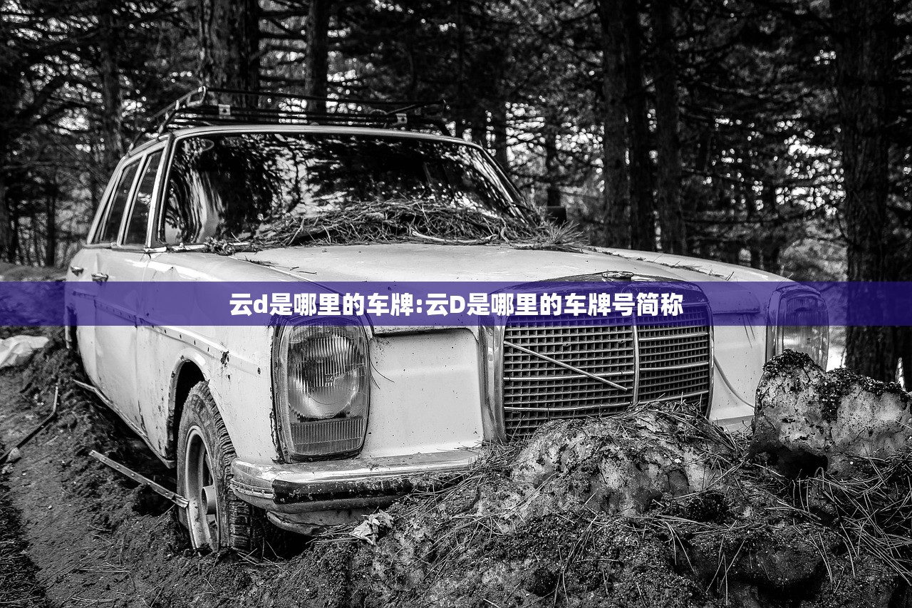 云d是哪里的车牌:云D是哪里的车牌号简称