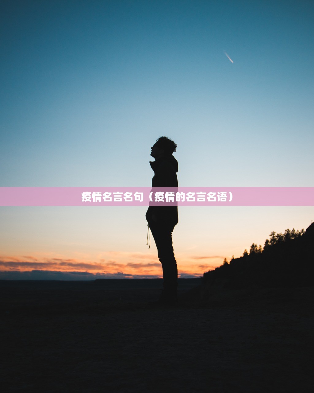 疫情名言名句（疫情的名言名语）