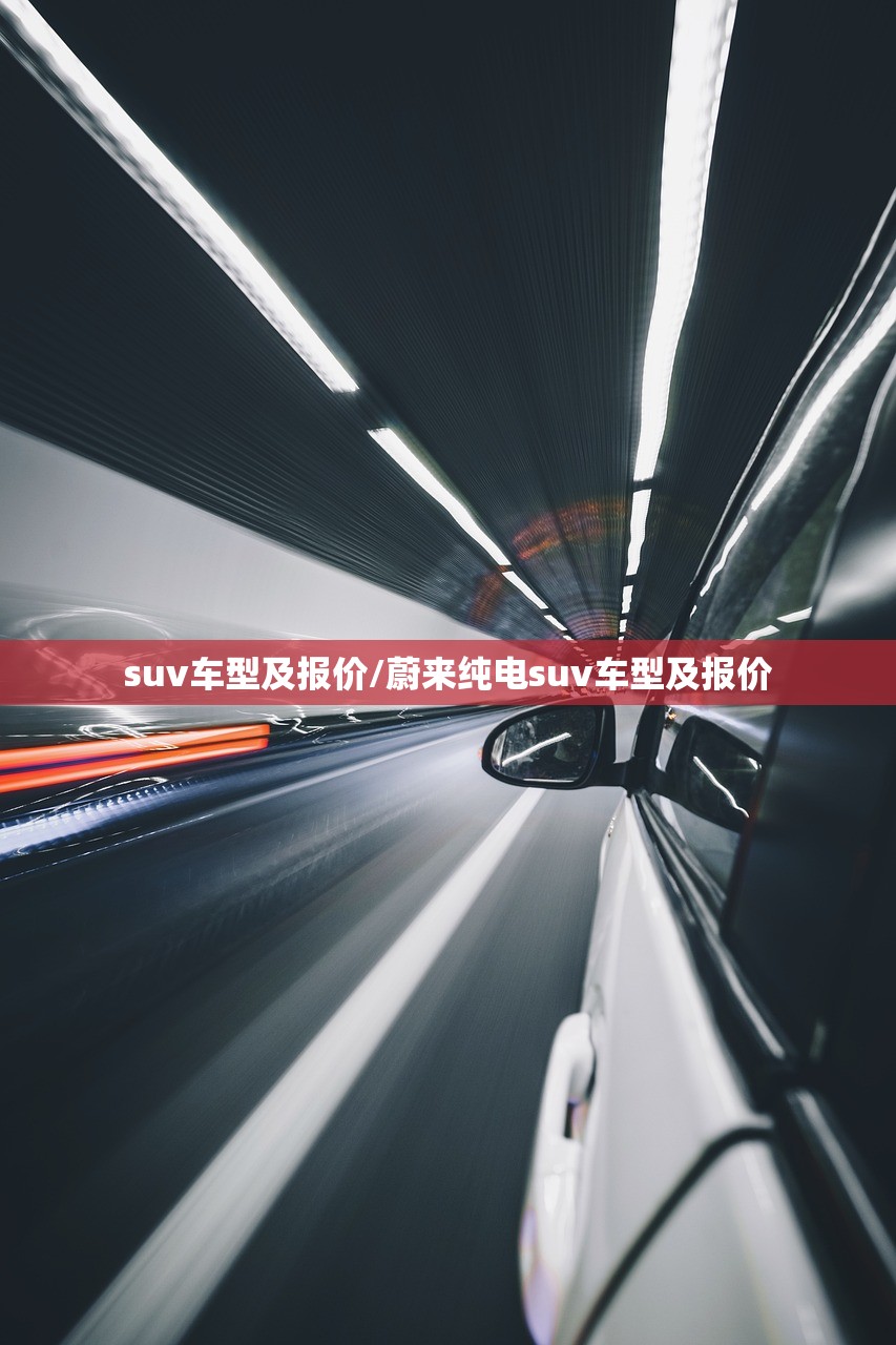suv车型及报价/蔚来纯电suv车型及报价