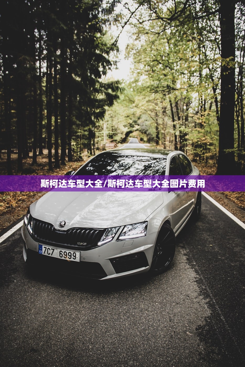 斯柯达车型大全/斯柯达车型大全图片费用