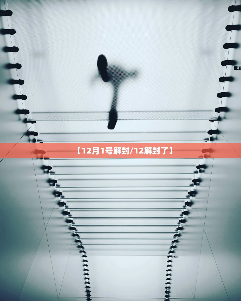 【12月1号解封/12解封了】