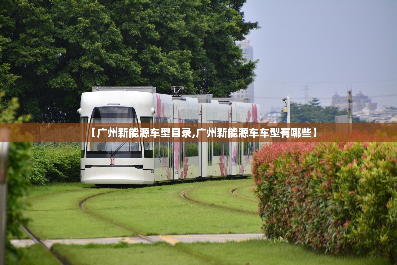 【广州新能源车型目录,广州新能源车车型有哪些】