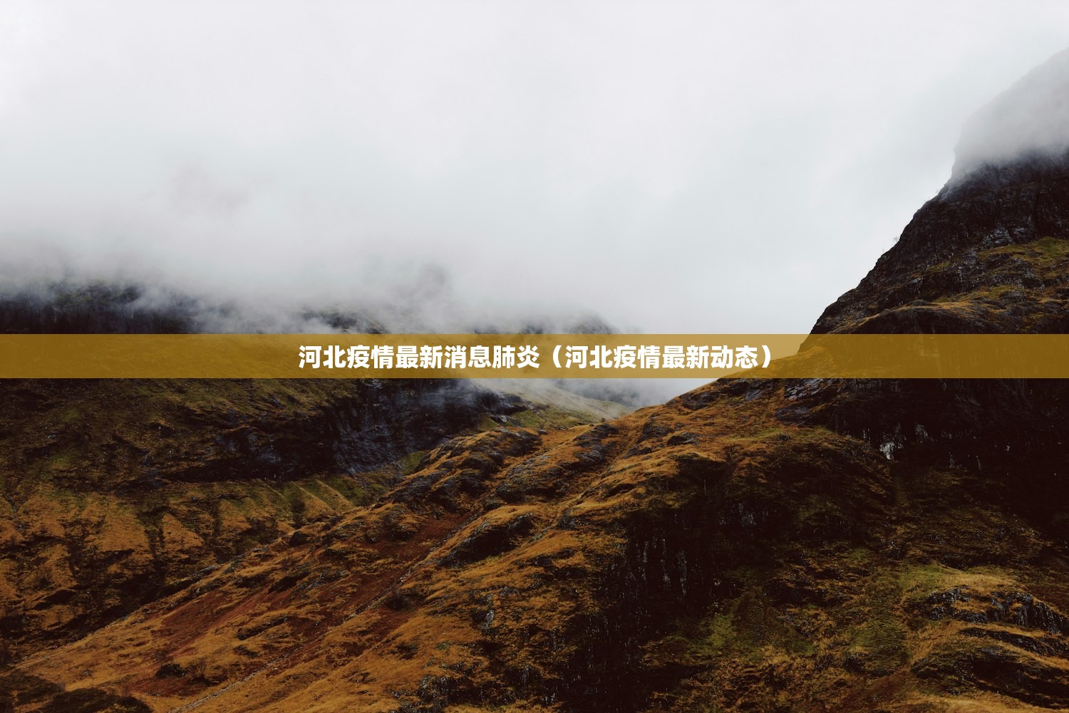 河北疫情最新消息肺炎（河北疫情最新动态）