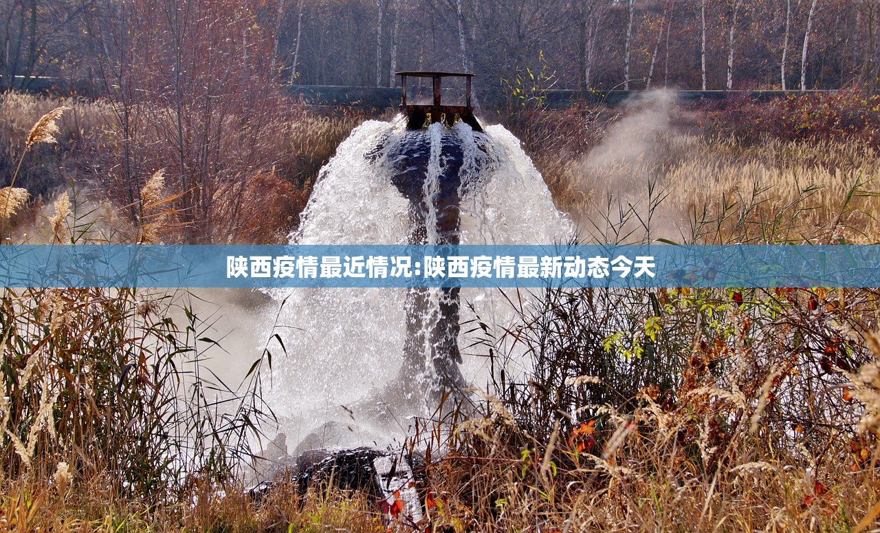 suv车型是什么（suv是什么类型车）