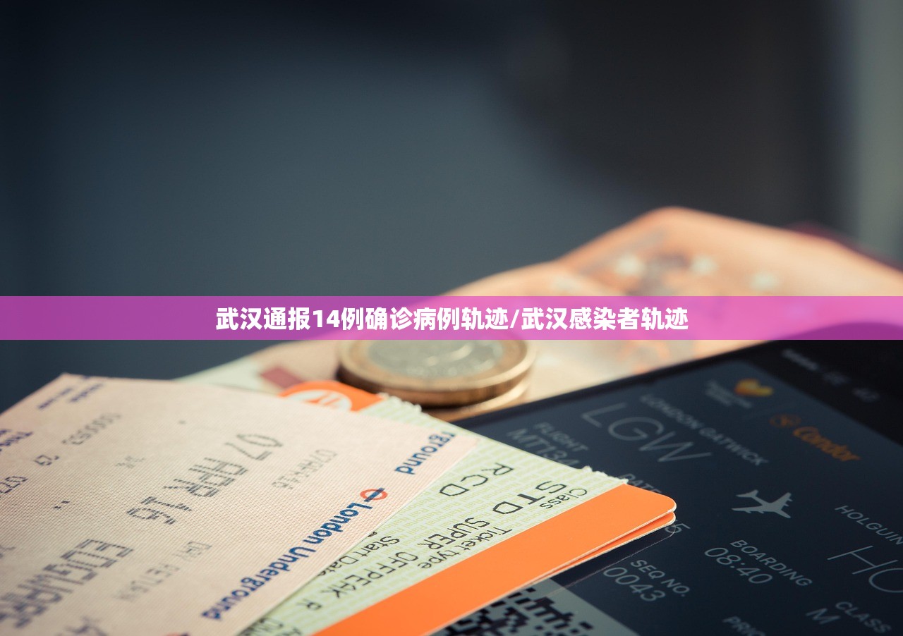 武汉通报14例确诊病例轨迹/武汉感染者轨迹 武汉通报14例确诊病例轨迹/武汉感染者轨迹