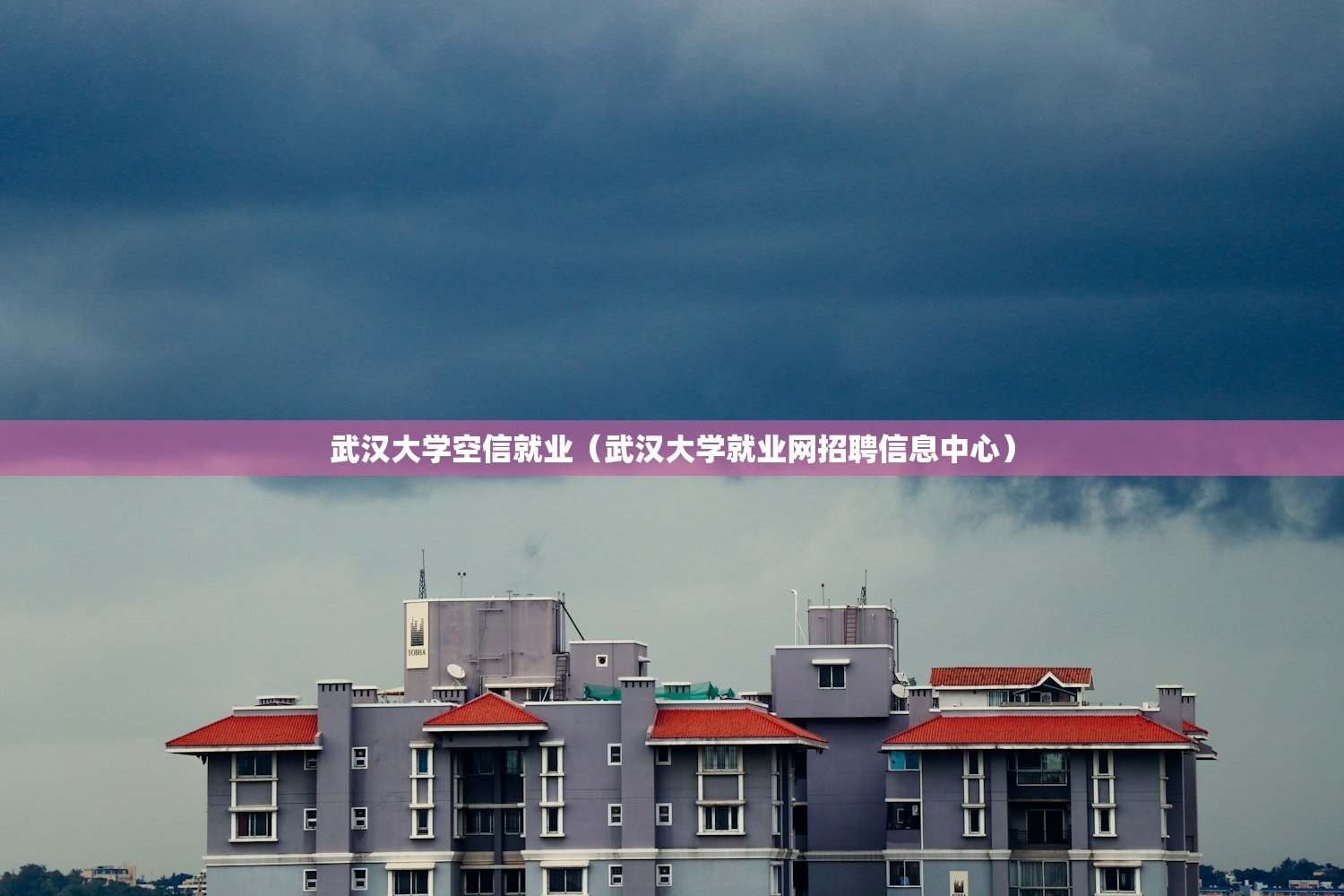 武汉大学空信就业（武汉大学就业网招聘信息中心）