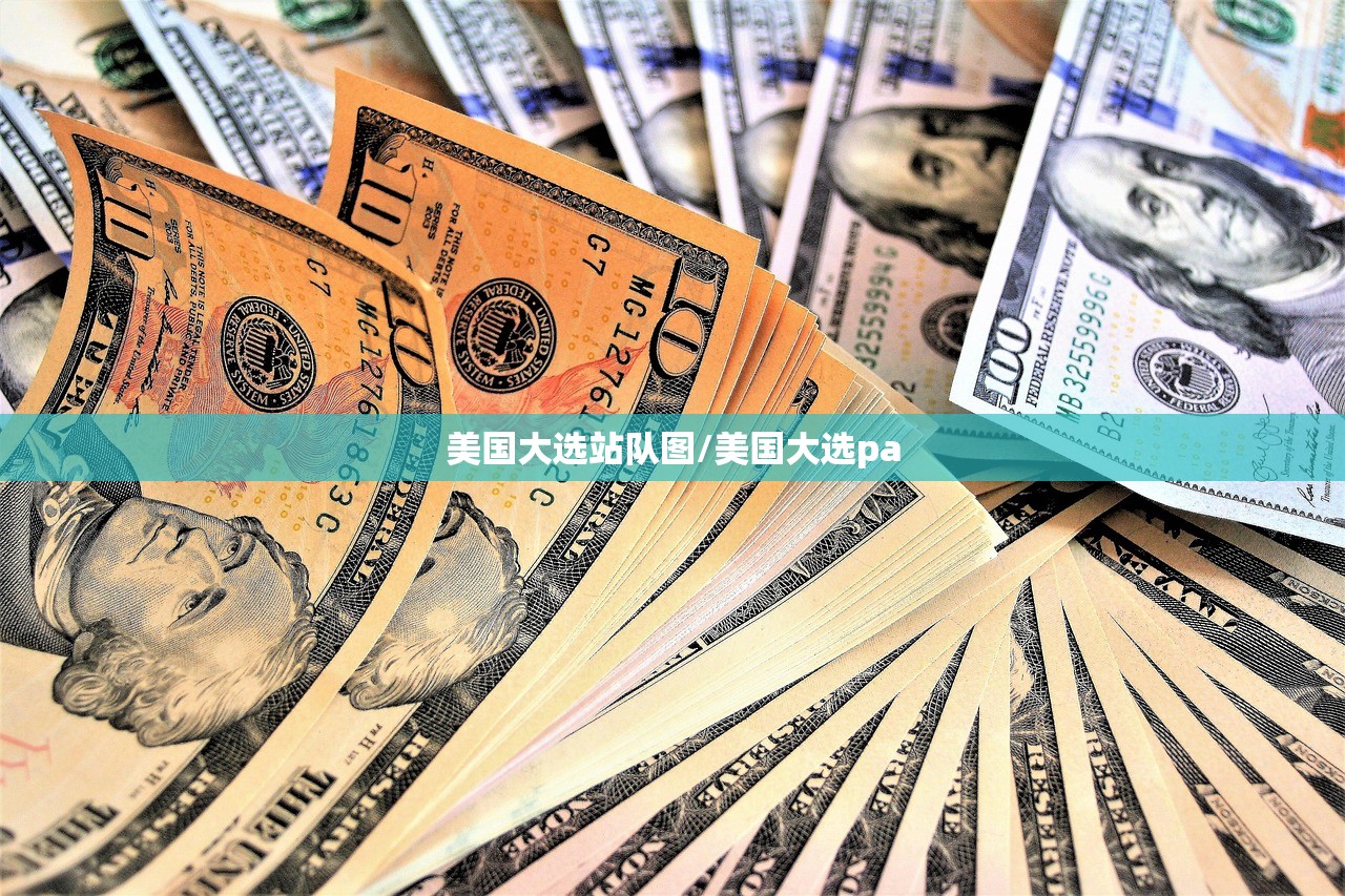 美国大选站队图/美国大选pa