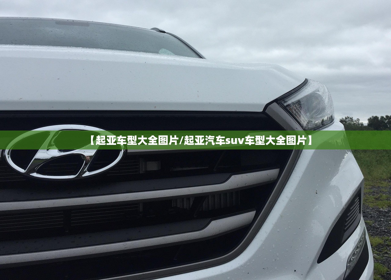 【起亚车型大全图片/起亚汽车suv车型大全图片】