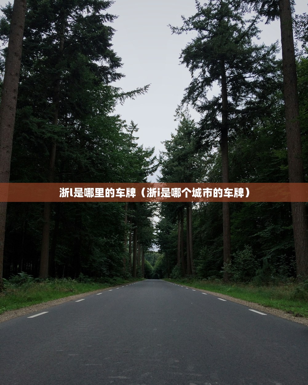 浙l是哪里的车牌（浙i是哪个城市的车牌）