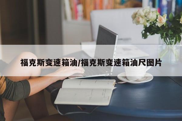 福克斯变速箱油/福克斯变速箱油尺图片