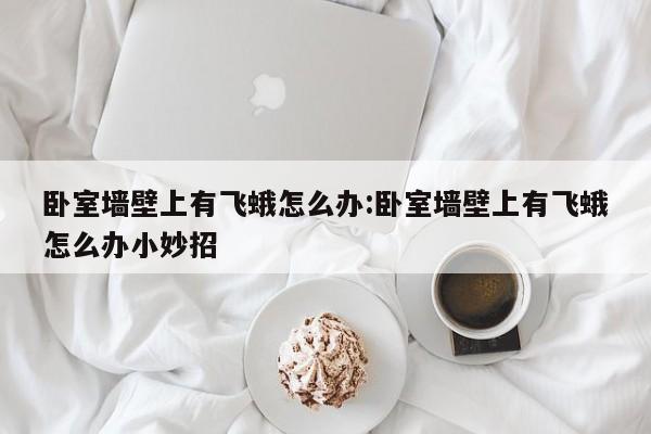卧室墙壁上有飞蛾怎么办:卧室墙壁上有飞蛾怎么办小妙招